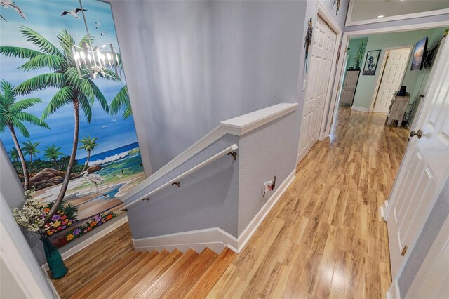 6251 Vista Verde Dr W, Saint Petersburg, FL 33707 - photo 18