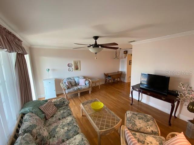 living room with ceiling fan, crown molding, and light wood-type flooring