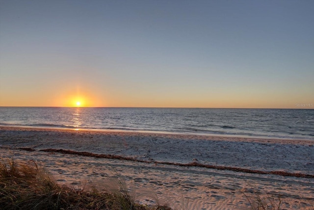 300 150th Ave Unit 411, Madeira Beach, FL 33708 - photo 30