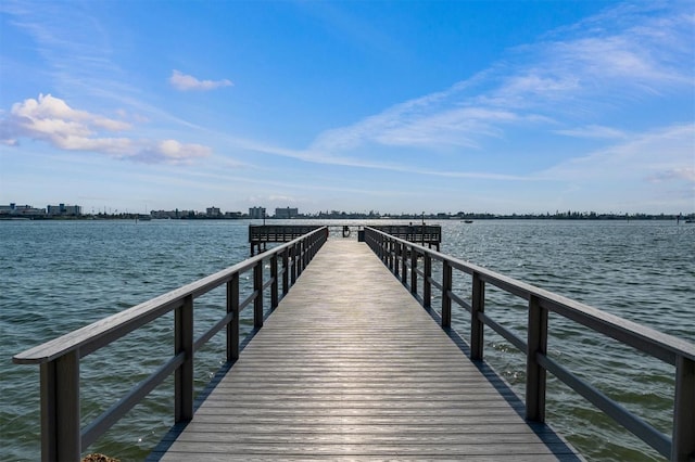 dock area with a water view