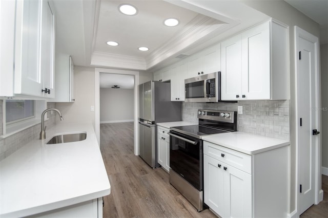 kitchen featuring a tray ceiling, stainless steel appliances, light hardwood / wood-style floors, and white cabinets