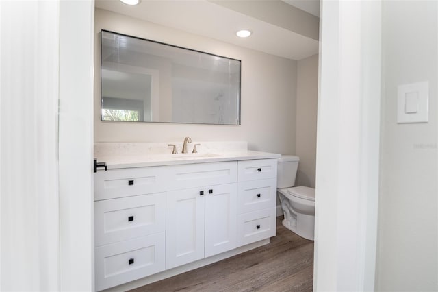 bathroom with wood-type flooring, vanity, and toilet