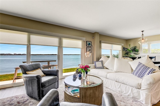 living room with wood-type flooring and a water view