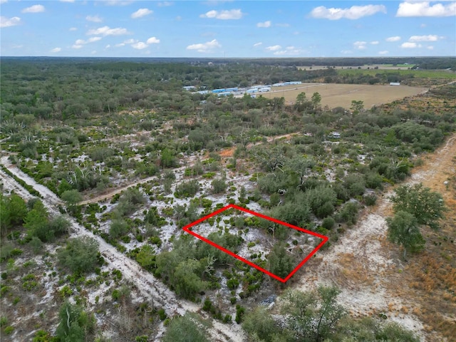 NE 109th St, Archer FL, 32618 land for sale