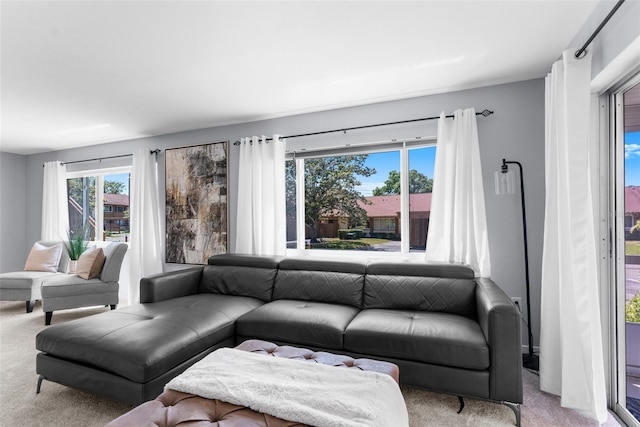 carpeted living room with a healthy amount of sunlight