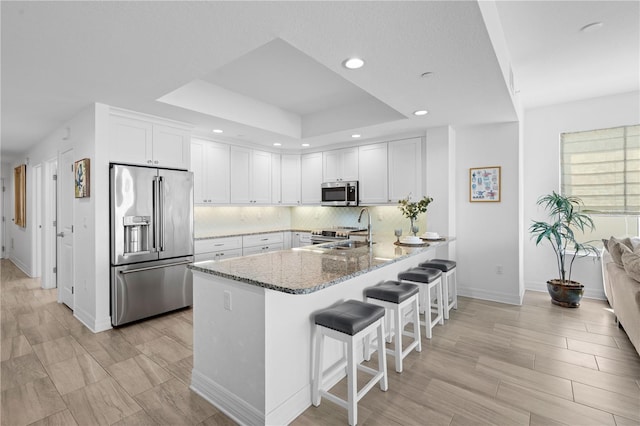 kitchen with white cabinets, stone counters, a tray ceiling, stainless steel appliances, and tasteful backsplash