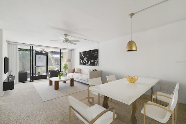 dining area featuring a wall of windows, carpet floors, and ceiling fan