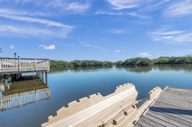 dock area featuring a water view