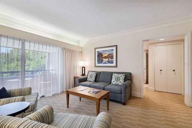 living room featuring crown molding and a textured ceiling