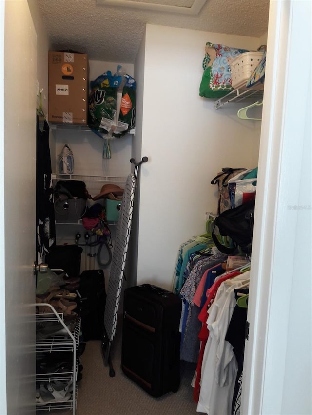 walk in closet featuring carpet flooring