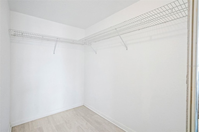 walk in closet featuring hardwood / wood-style flooring