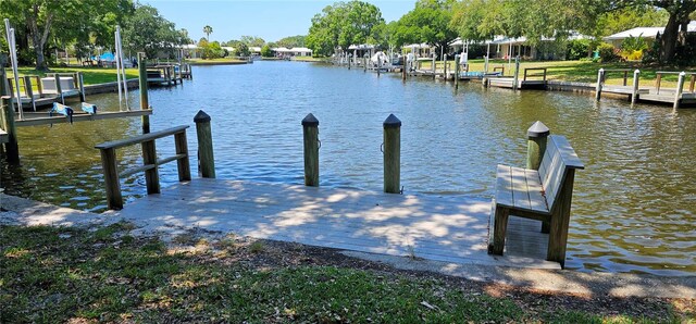 dock area with a water view