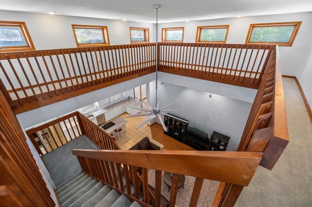 staircase featuring carpet flooring and ceiling fan