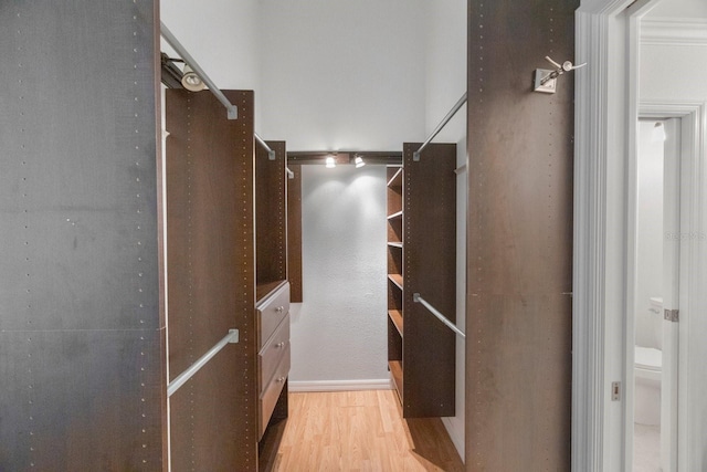 walk in closet with light wood-type flooring