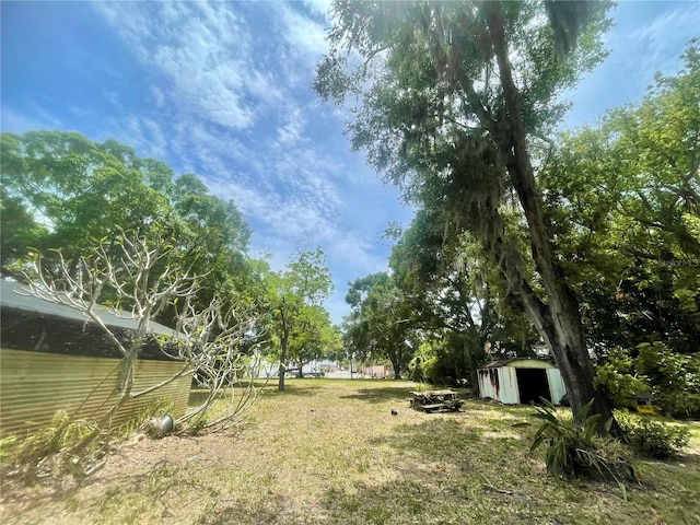 view of yard featuring a storage shed