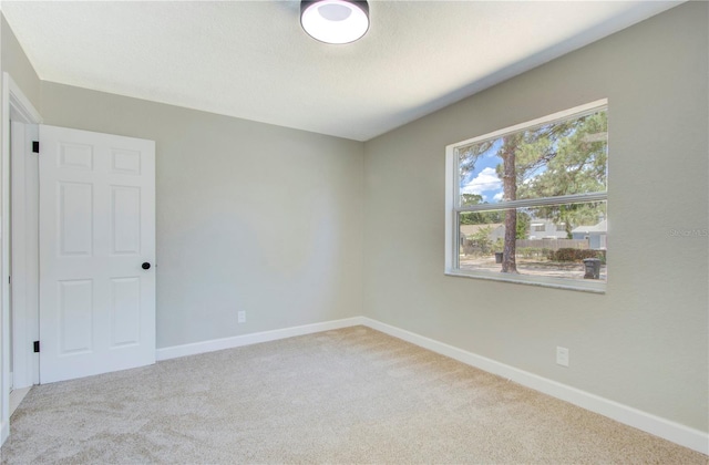 spare room with carpet floors