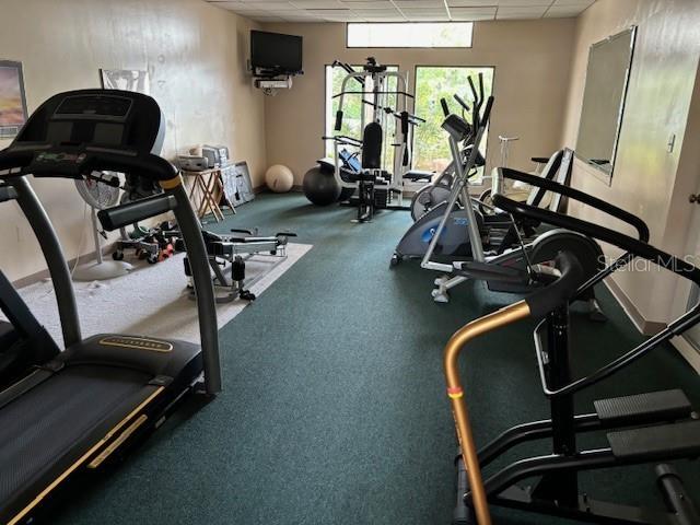 exercise room featuring a drop ceiling and carpet