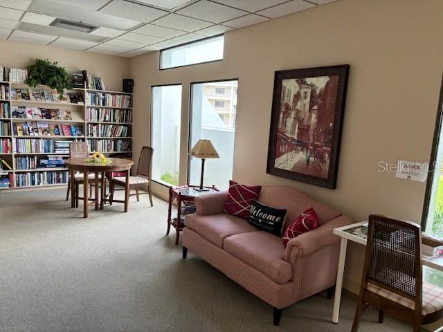 living area featuring a drop ceiling, plenty of natural light, and carpet flooring