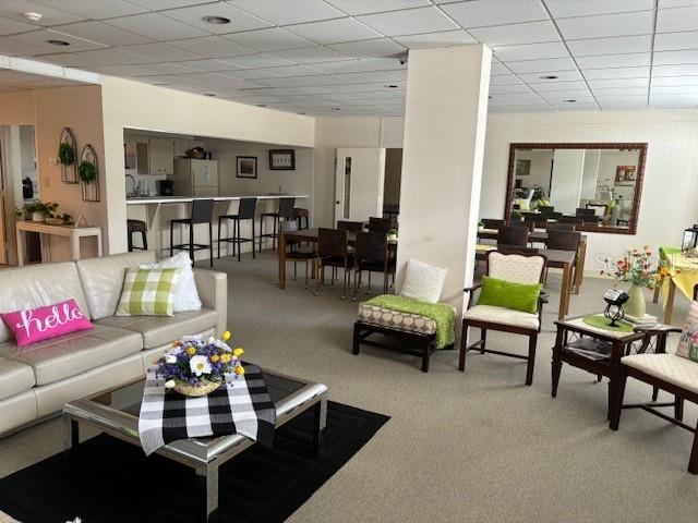 living room featuring a drop ceiling and carpet floors