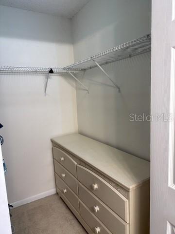 spacious closet with light carpet