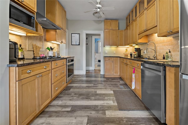 kitchen with tasteful backsplash, appliances with stainless steel finishes, ceiling fan, and hardwood / wood-style floors