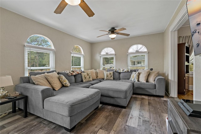 living room with plenty of natural light, ceiling fan, and dark hardwood / wood-style flooring