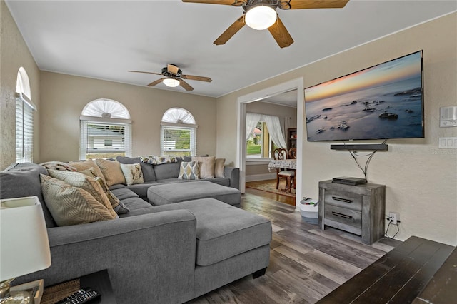 living room with ceiling fan and dark wood-type flooring