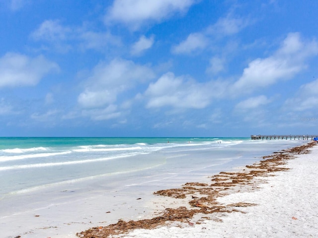 water view featuring a beach view