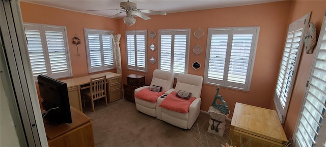 sitting room with ceiling fan and carpet flooring