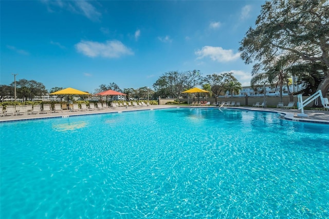 view of pool with a patio