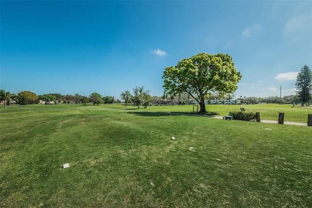 view of property's community with a yard