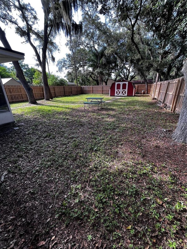 view of yard featuring a storage unit