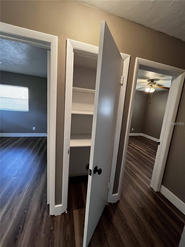 hallway featuring dark hardwood / wood-style floors