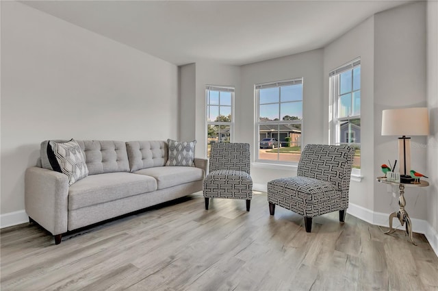 living room featuring wood-type flooring