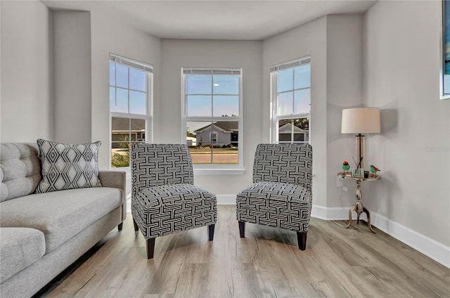 sitting room with light wood-type flooring