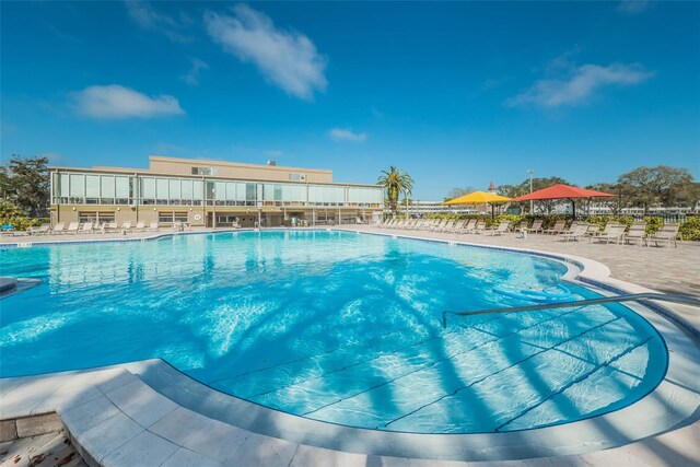 view of swimming pool with a patio