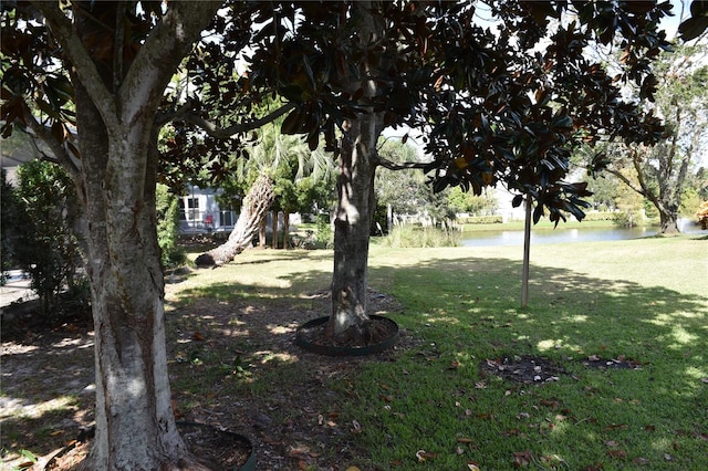 view of yard featuring a water view