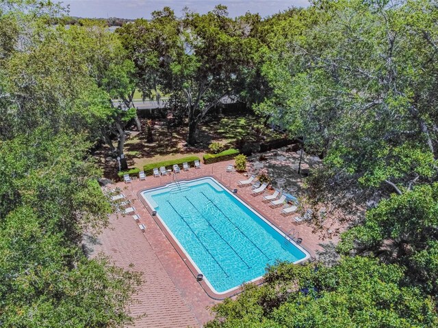 view of swimming pool