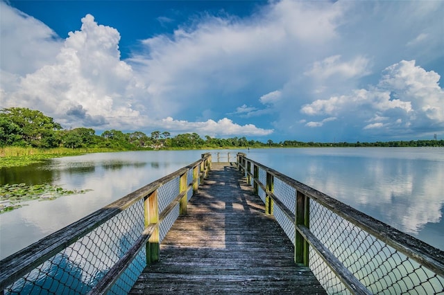 dock area with a water view