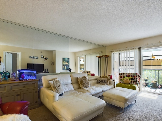 living room with carpet flooring and a textured ceiling