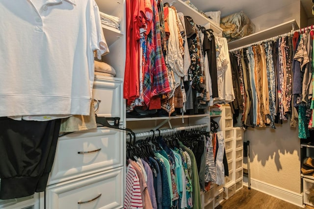 walk in closet with wood-type flooring