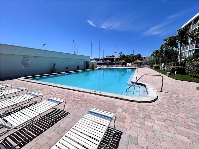 view of pool featuring a patio