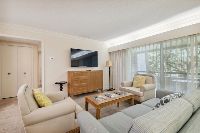 carpeted living room featuring crown molding and a textured ceiling