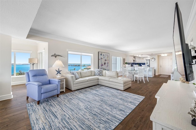 living room featuring ornamental molding, a water view, and dark wood-type flooring