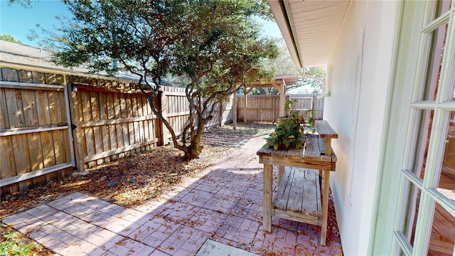 view of yard featuring a patio area and a fenced backyard