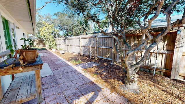 view of yard featuring a patio area and a fenced backyard