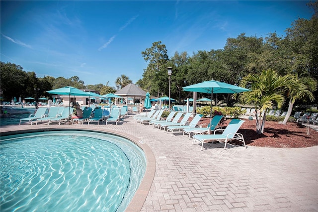 view of swimming pool