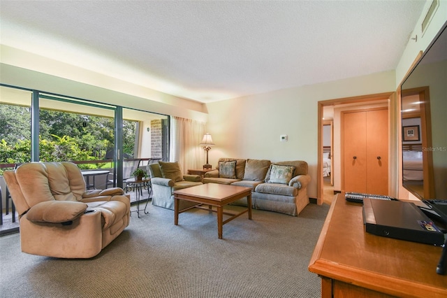 carpeted living room with a textured ceiling