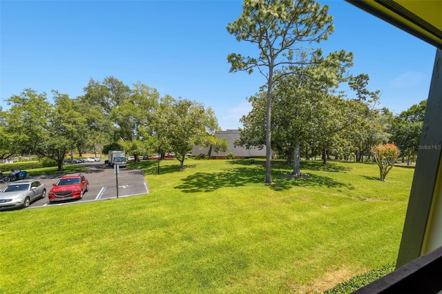 36750 US Highway 19 N Unit 22208, Palm Harbor, FL 34684 - view of yard