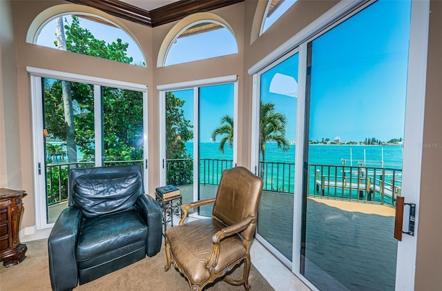 sunroom / solarium with a healthy amount of sunlight and a water view